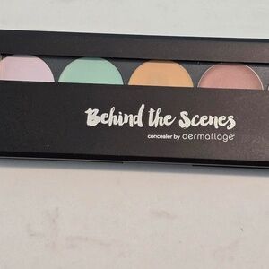 Dermaflage Behind the Scenes Corrector Palette *NEW